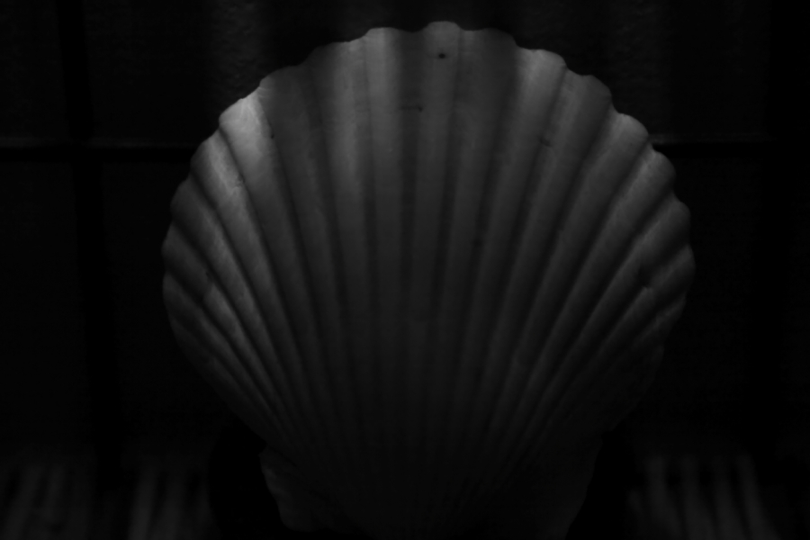 2013 01 29 IMG 2841ebw
